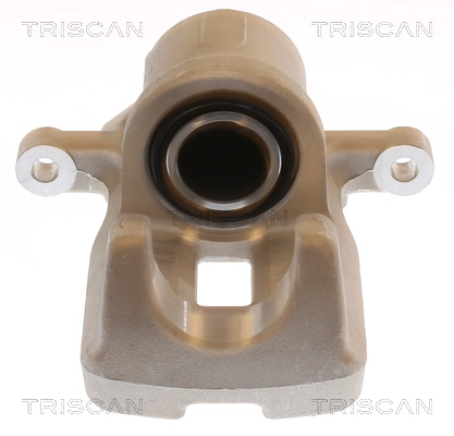 Brake Caliper (8175 13236)