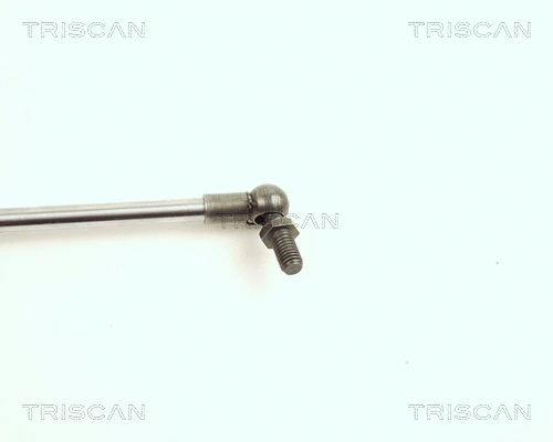 Gas Spring, boot/cargo area