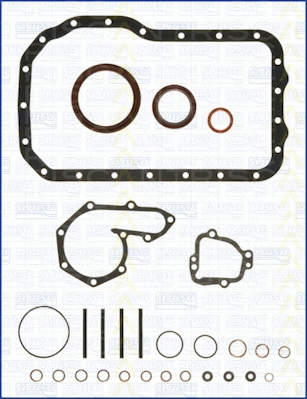 Gasket Kit, crankcase (595-8002)