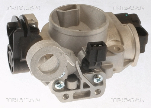 Throttle Body (8820 25006)