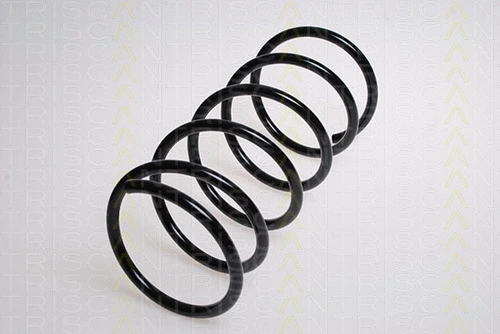 Suspension Spring (8750 28249)