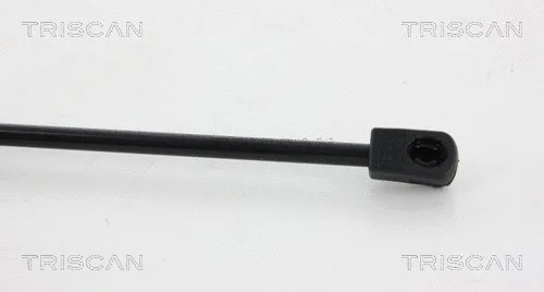 Gas Spring, rear window