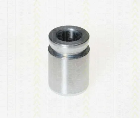 Piston, brake caliper (8170 233304)