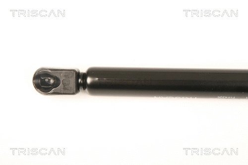 Gas Spring, boot/cargo area