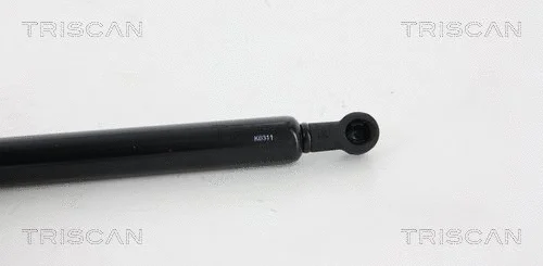Gas Spring, boot/cargo area