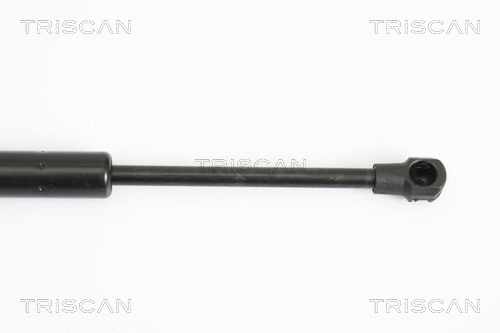 Gas Spring, boot/cargo area