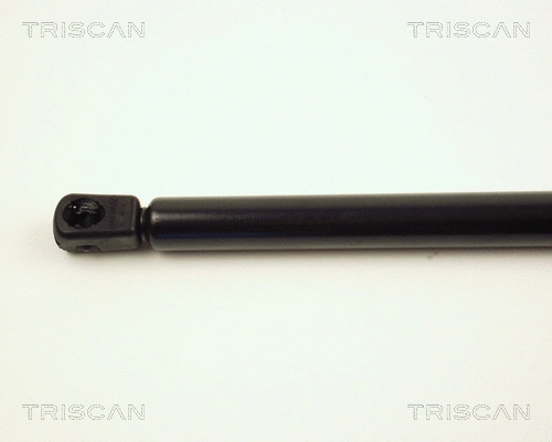 Gas Spring, boot/cargo area