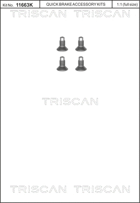 Screw Set, brake disc (8105 116004)