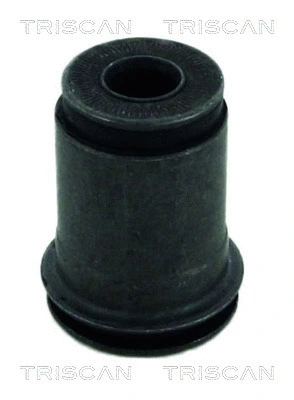 Mounting, control/trailing arm (8500 13826)