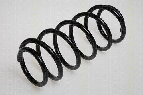 Suspension Spring (8750 6511)