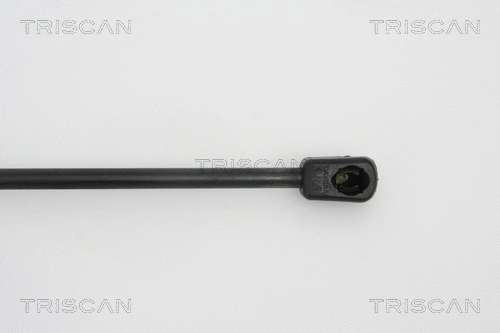 Gas Spring, boot/cargo area