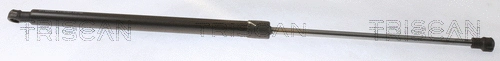 Gas Spring, boot/cargo area (8710 25280)