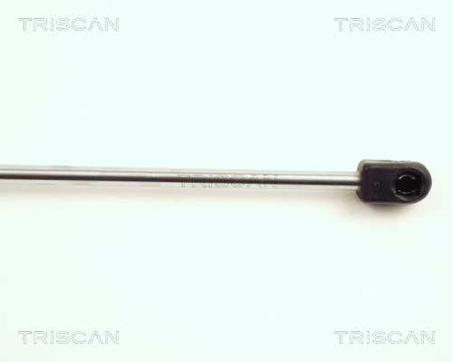 Gas Spring, boot/cargo area