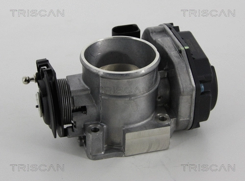 Throttle Body (8820 29018)