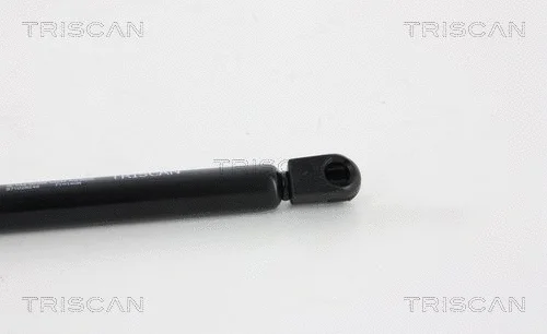 Gas Spring, rear window