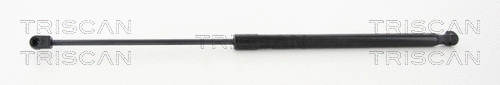 Gas Spring, boot/cargo area
