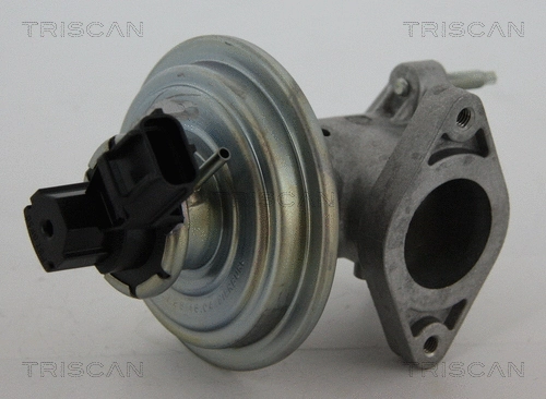 EGR Valve (8813 16043)