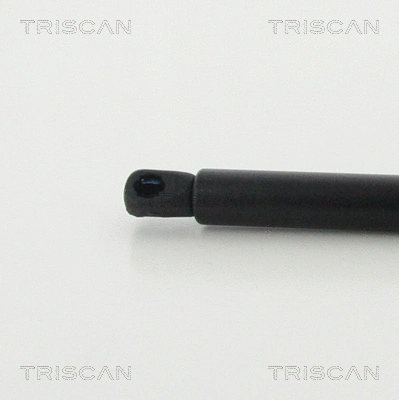 Gas Spring, boot/cargo area