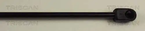 Gas Spring, boot/cargo area