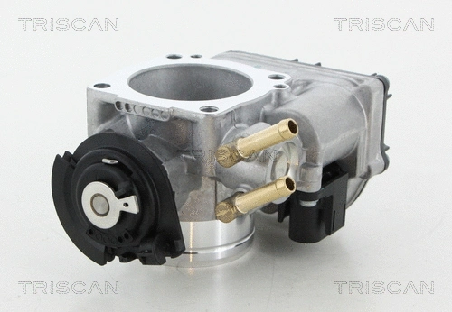 Throttle Body (8820 29022)