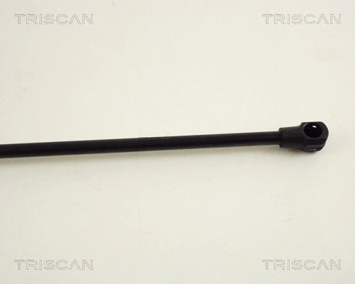 Gas Spring, boot/cargo area