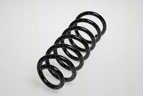 Suspension Spring (8750 28122)