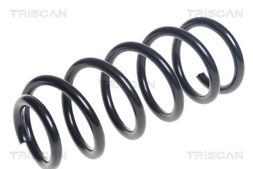 Suspension Spring (8750 11185)