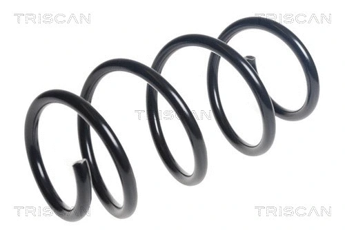 Suspension Spring (8750 1055)