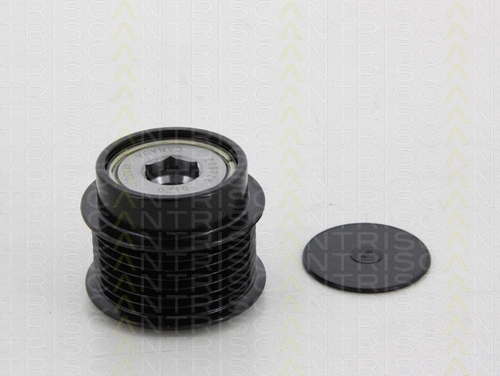 Alternator Freewheel Clutch (8641 134005)