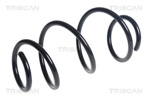 Suspension Spring (8750 25137)