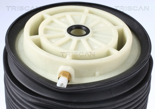 Air Spring, suspension