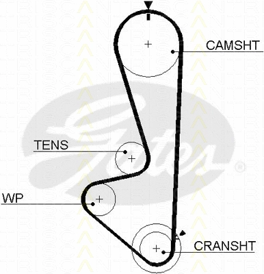 Timing Belt (8645 5449)