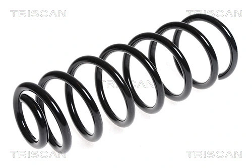 Suspension Spring (8750 28317)