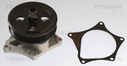 Water Pump, engine cooling (8600 24059)