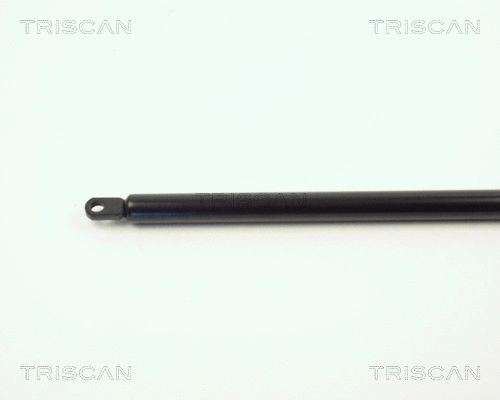 Gas Spring, boot/cargo area