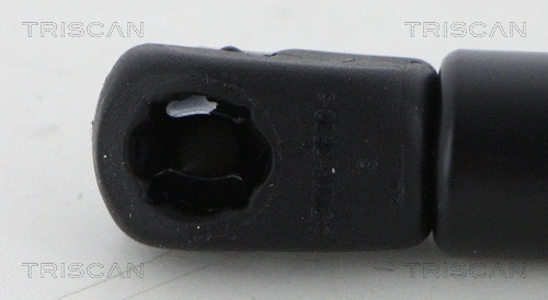 Gas Spring, boot/cargo area