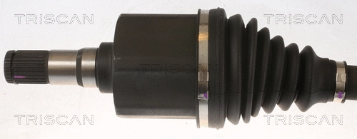 Drive Shaft