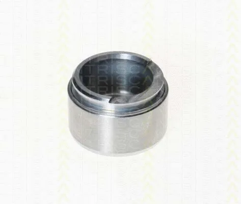 Piston, brake caliper (8170 234809)
