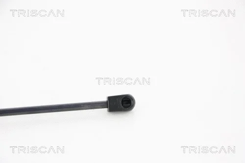 Gas Spring, boot/cargo area
