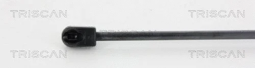 Gas Spring, boot/cargo area