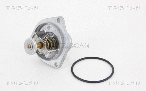 Thermostat, coolant (8620 29580)
