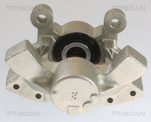 Brake Caliper (8175 27202)
