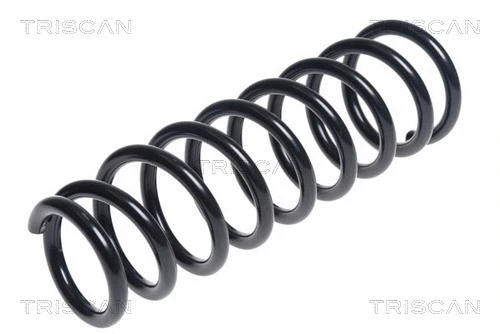 Suspension Spring (8750 42112)