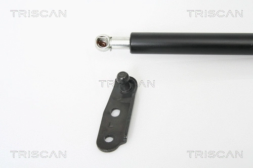 Gas Spring, boot/cargo area