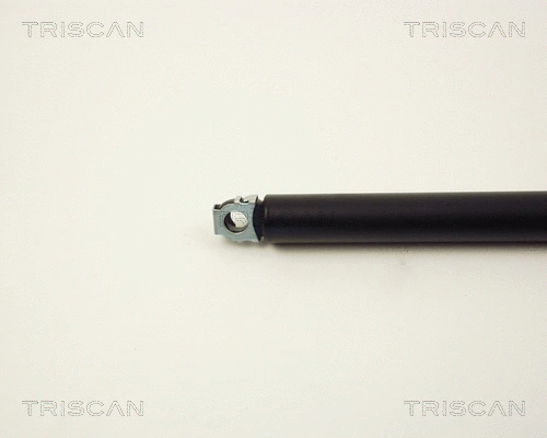 Gas Spring, boot/cargo area