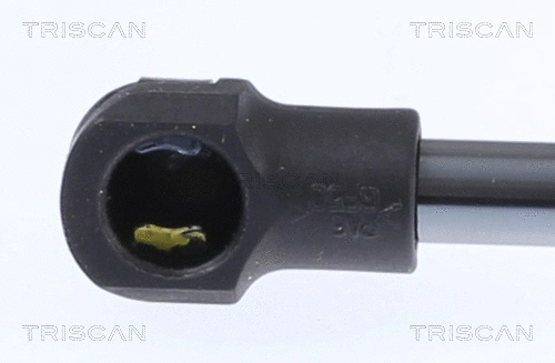 Gas Spring, boot/cargo area