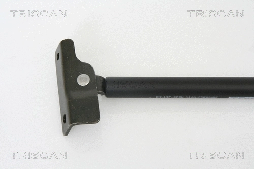 Gas Spring, boot/cargo area