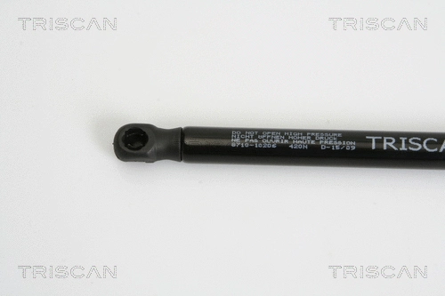 Gas Spring, boot/cargo area