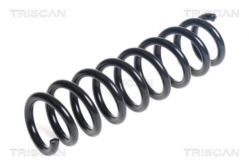 Suspension Spring (8750 11243)