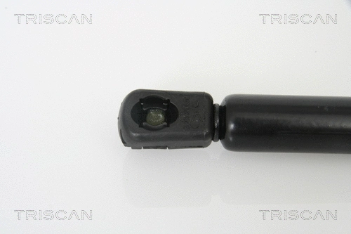 Gas Spring, boot/cargo area